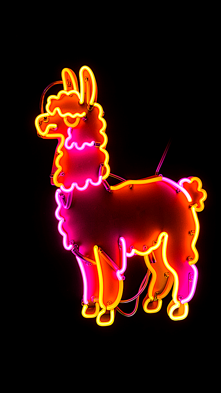 Neon Llama