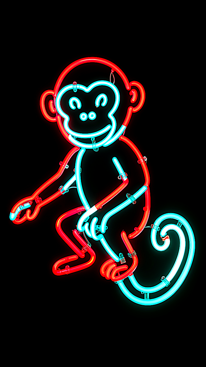 Neon Monkey
